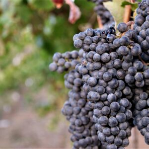 Exemple produit (Copie)